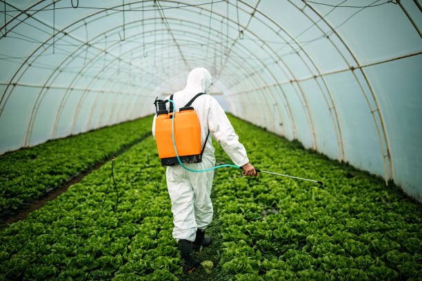 Best Pest Control Near Me  in Point Clear, AL
