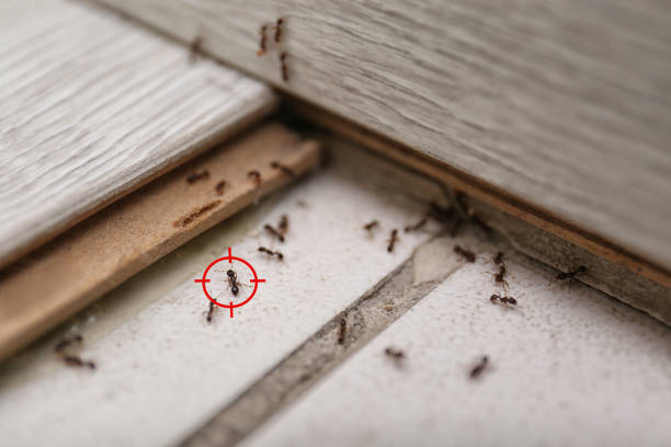 Pest Control Cost in Point Clear, AL