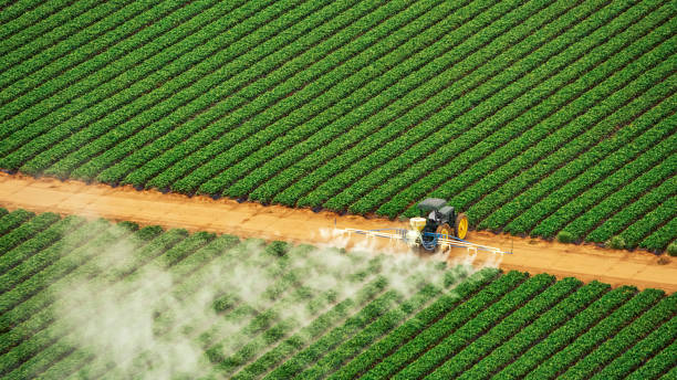 Best Pest Removal Services  in Point Clear, AL