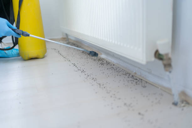 Point Clear, AL Pest Control Company