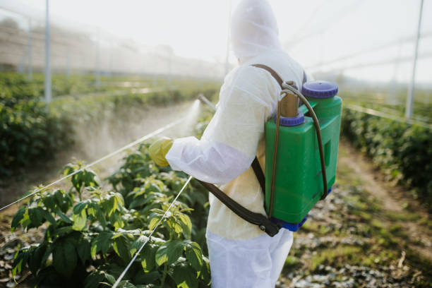 Best Wasp Removal Services  in Point Clear, AL